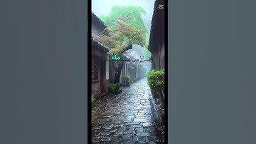 سورة الروم ( وَمِنْ آيَاتِهِ يُرِيكُمُ الْبَرْقَ خَوْفًا وَطَمَعًا )  #المصحف