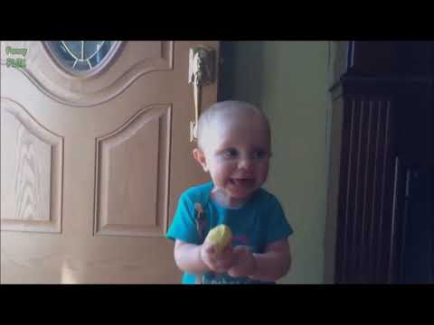 top-10-funny-baby-videos-download-for-free