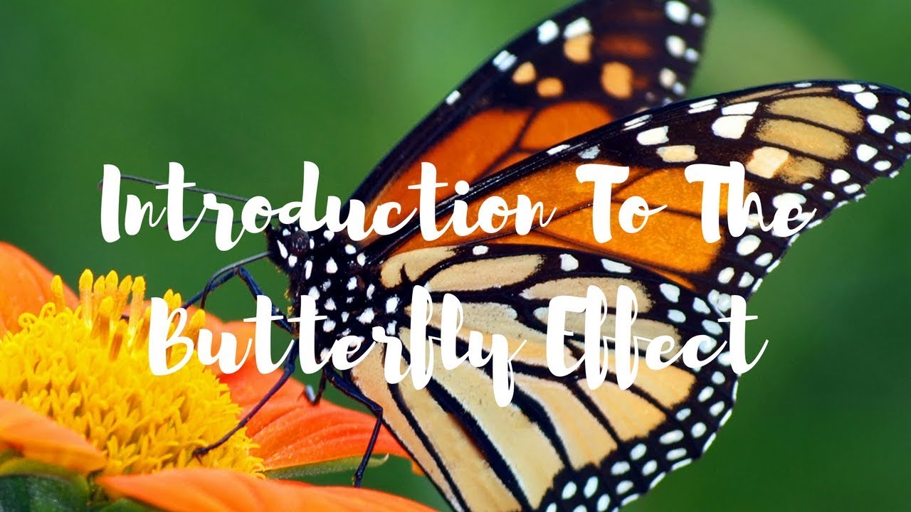 Introduction To The Butterfly Effect With Heidi Mancini