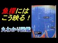 様々な魚種の魚探への反応が分かる！？魚探反応丸わかり図鑑とは！？