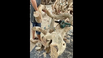 Driftwood Creative Furniture Made from Tree Roots | Creative DIY #Shorts