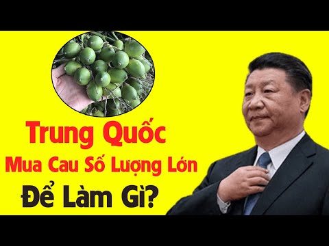 Video: Củ Giống: Làm Thế Nào để Lấy?