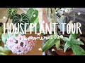 HOUSEPLANT TOUR SUMMER 2020! | My Entire Houseplant Collection