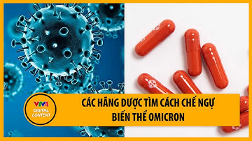 Các hãng dược tìm cách chế ngự biến thể Omicron | VTV4