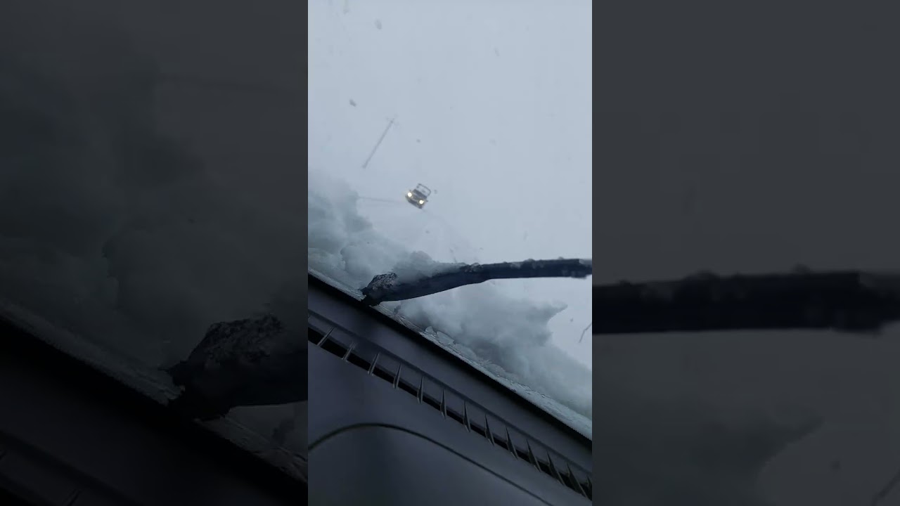 2026 fevral Cəlilabad