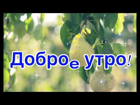 Доброе утро! Везения на целый день! 🌻🌻🌻😘