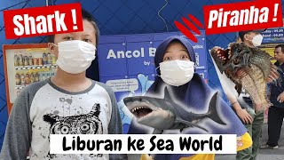 Liburan Seru ke Sea World Ancol - Mengenal  Hewan Laut