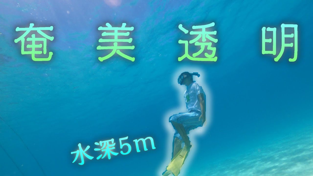 【加計呂麻島】10m先まで透明で感動…実久のコバルトブルー！
