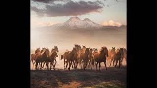 سورة العاديات والقارعة والتكاثر مكرره لسهولة الحفظ عبدالودود حنيف Quran