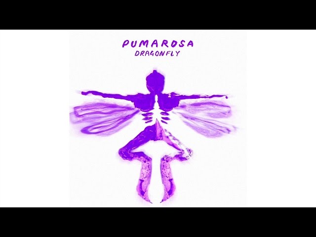 Pumarosa - Dragonfly (Official Audio) class=