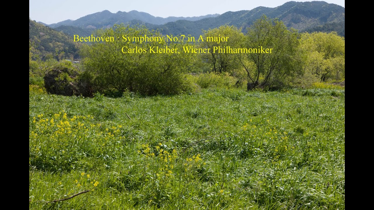 Beethoven : Symphony No. 7 in A major Beethoven : Symphony No. 7 in A major