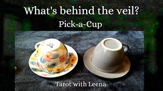 Coffee cup reading : What's behind the veil? | PickaCup | Tarot with Leena