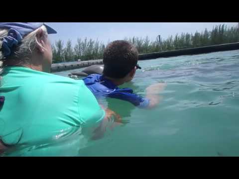 Dolphin Assisted Therapy - The Graham Fund, A Story of Hope and Healing Dolphin Assisted Therapy - The Graham Fund, A Story of Hope and Healing