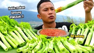 Mukbang 50 Batang Pepaya Mentah  Habis Makan Lansung Pingsan