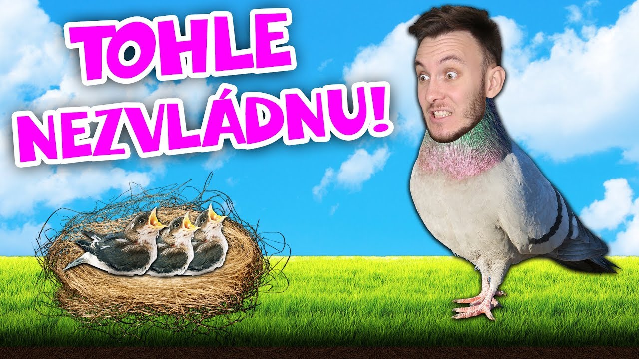 SIMULÁTOR HOLUBA! | Pigeon Simulator