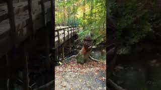 Legacy Park - The Best Place to Live in Kennesaw Georgia