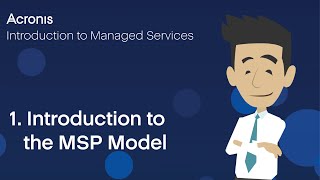 1. Introduction to the MSP Model