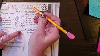 Envision Math 5th Topic 12 Assessment Practice part 1