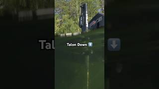 Talon Down 🦅⬇️ #MinnKota