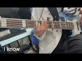 Kroi - dart (bass cover)