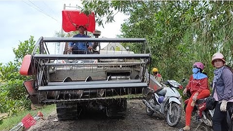 máy cắt DC70 Lên bánh 9 cắt lúa nhanh như gió tập 184#maibangtv