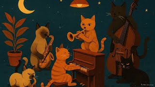 Paws tapping to the rhythm