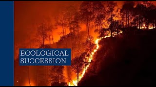 APES 2ii Ecological Succession Lecture