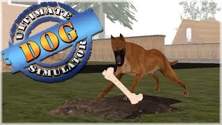 La vie d'un dogue allemand errant ! • Simulateur de chien ultime screenshot 2