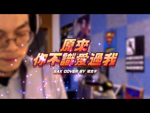 詹雅雯《原來你不識愛過我》薩克斯風演奏