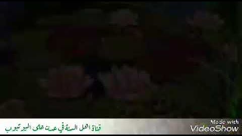 سورة الأعلى من مسجدبلعيش في الشيخ عثمان