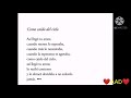 Elefante - Contigo (❤️ AAD ❤️) || Letra(Lyrics)