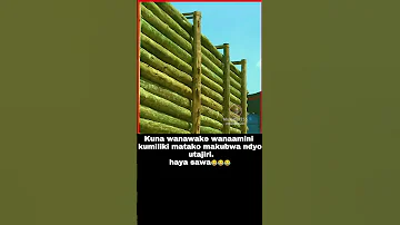 Wanawake Wenye Makalio Makubwa 