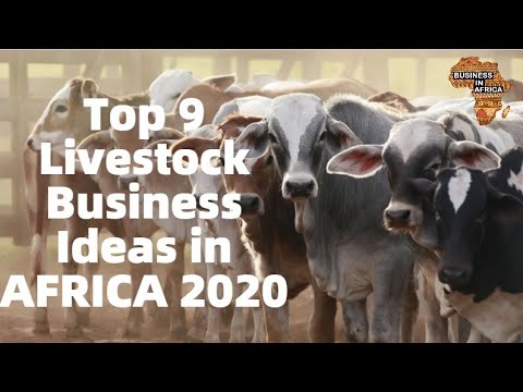 Top 9 Lucrative Livestock Business Ideas in AFRICA 2020 | LIVESTOCK