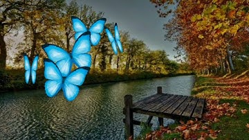 الربع الأول من سورة آل عمران بصوت جمال الديري