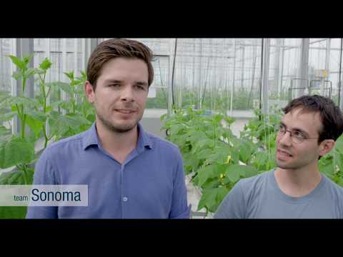 Autonomous Greenhouse Challenge