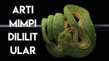 Arti Mimpi Dililit Ular