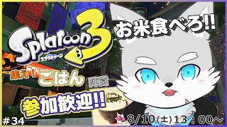 【スプラトゥーン3】#34 日本獣ならお米食べろ【ケモV / 風狼 サキ】