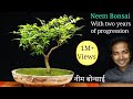 Neem bonsai | How to make a bonsai tree