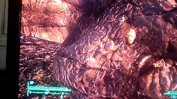 Fallout New Vegas Glitch: Can