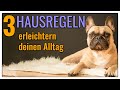 3 einfache hausregeln fr deinen alltag  tgh 326