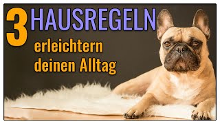 3 einfache Hausregeln für deinen Alltag  TGH 326