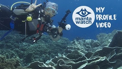 Mantawatch Internship Program 2018 - Corina