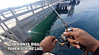Umpan Baru Turun Langsung Diserbu Ikan, Sampai Kehabisan Umpan || Mancing dasaran di Dermaga Bosowa