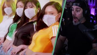 Director Reacts - 마마무 (MAMAMOO) - 'Dingga' MV