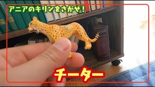 アニアみ～つけた！キリンをさがせ編【タカラトミーキッズ】 親子で楽しくあんしん | ファミリー | おはなし | 公式 | タカラトミー公式