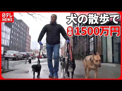 【アメリカ】“犬の散歩”で驚きの報酬  1日5時間で年収1500万円