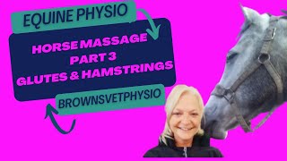 Horse massage for owners - Part 3 - Gluteals and Hamstrings