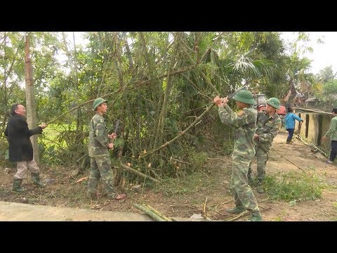 Video Tin Thời Sự Hôm Nay (6h30 - 29/12/2017): Lực Lượng Vũ... - youtube