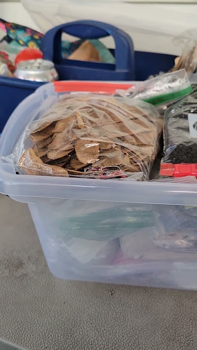 Cottage Wife Life: Limiting My Seed Collection! Sort & Organize