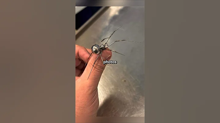 Rare Photos You’ve Never Seen Before [Part 47] – You’ll Be Speechless!